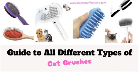 Types Of Cat Brushes