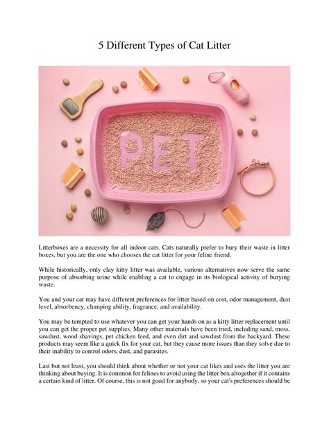 Types Of Cat Litter List