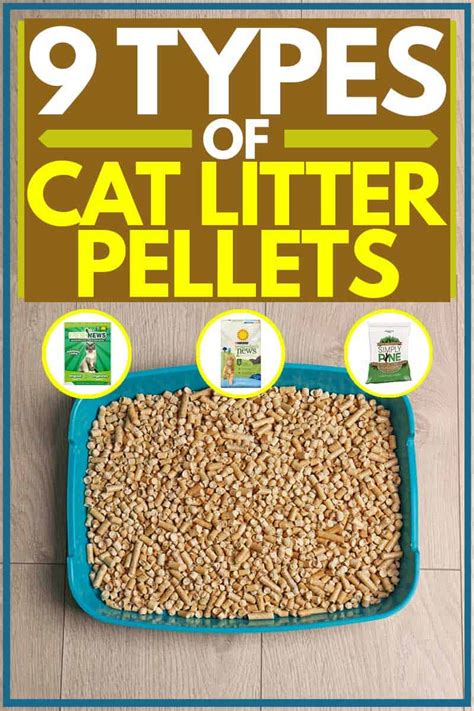 Types Of Cat Litter Material