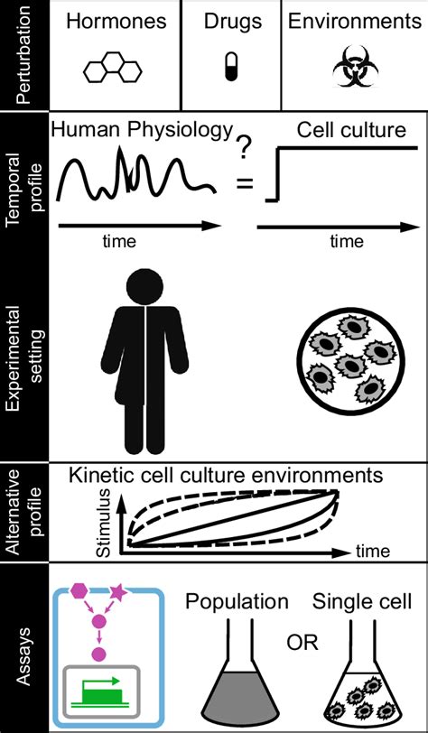 Types Of Cell Environments