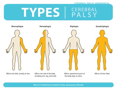 Types Of Cerebral Palsy Chart