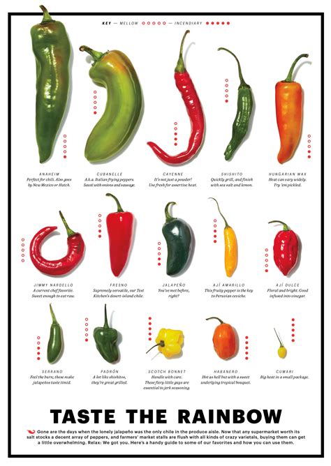 types of chilli pepper