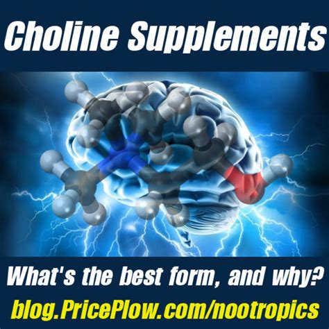 types of choline supplements