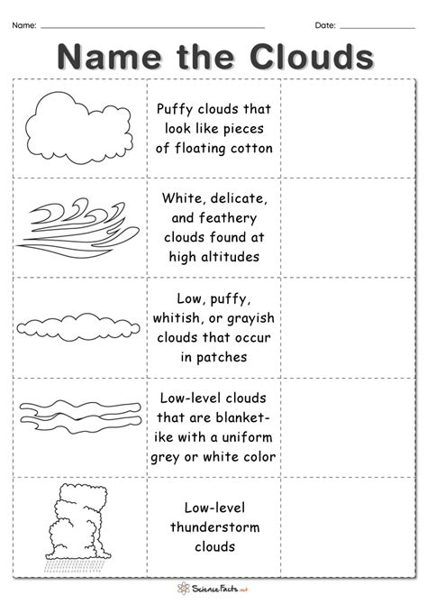 Types Of Clouds Worksheet Printable