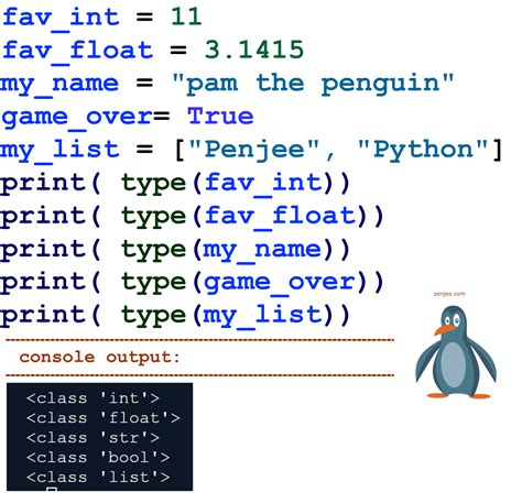 types of coding python