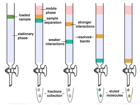 Types Of Column Chromatography Techniques