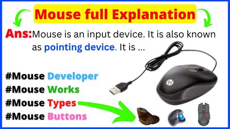 Types Of Computer Mouse In Hindi