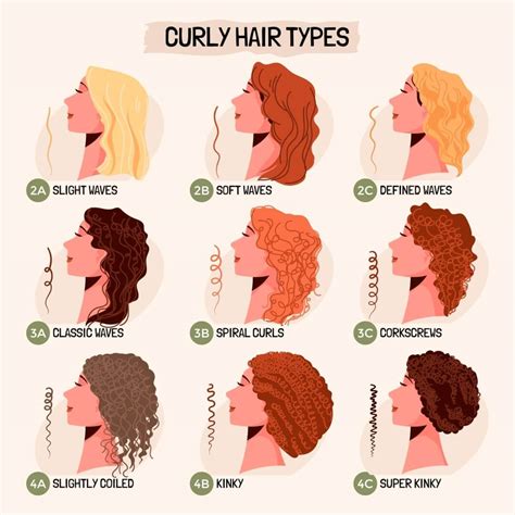  79 Stylish And Chic Types Of Curly Hair Haircuts Trend This Years