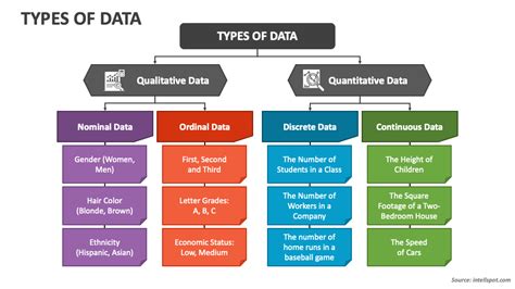 types of data ppt tes
