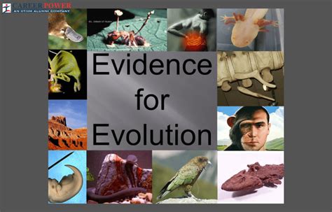 Types Of Data That Provide Evidence For Evolution