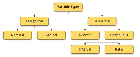 types of data variables