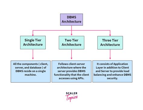 types of database architecture in dbms