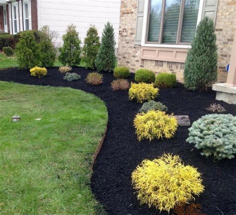 Types Of Decorative Mulch