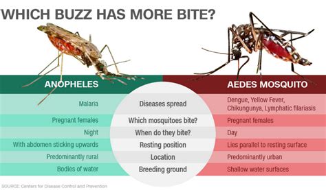 types of dengue mosquito