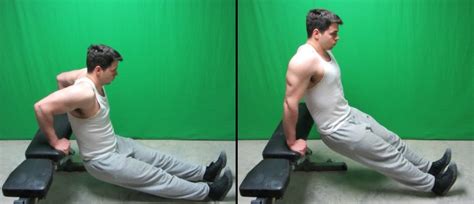 Types Of Dips Exercise