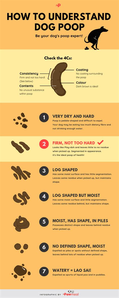 Types Of Dog Poop