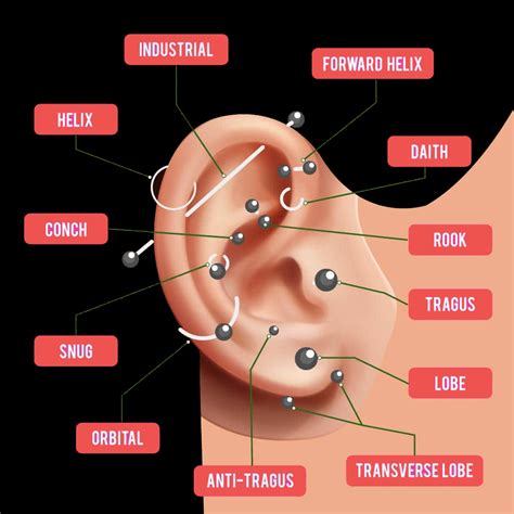 Types Of Earring Piercings