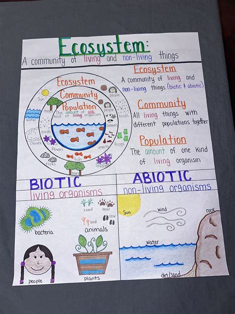 Types Of Ecosystems Anchor Chart