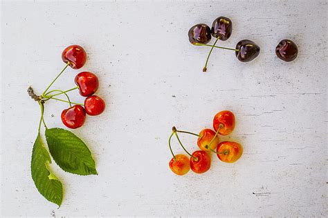Types Of Edible Cherry Trees