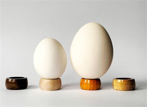 Types Of Egg Stands