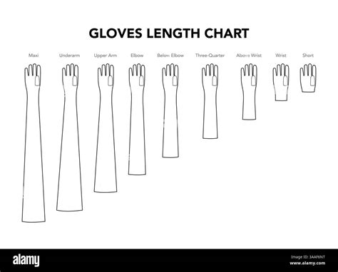 Types Of Elbow Length Gloves