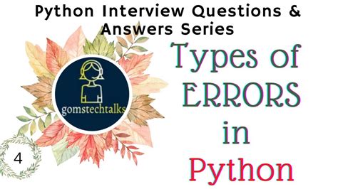 types of error in python class 11