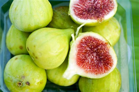 types of figs fruit