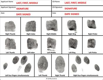 types of fingerprint in forensic science pdf