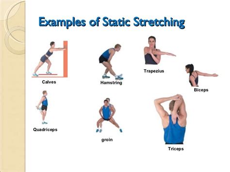 types of flexibility exercises examples
