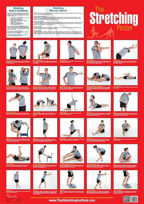 types of flexibility exercises pdf