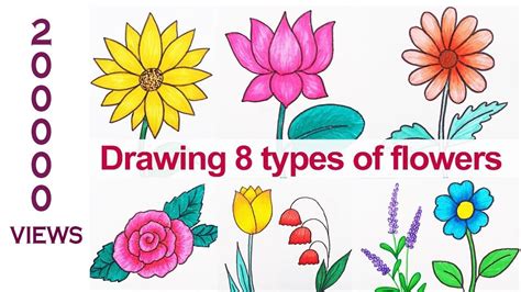 types of flowers easy to draw