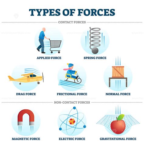 types of force in physics class 12