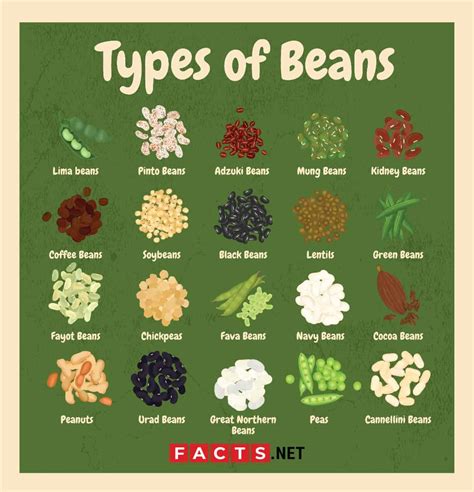 types of fresh beans