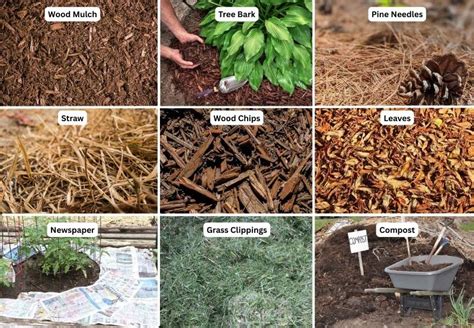 Types Of Garden Mulch