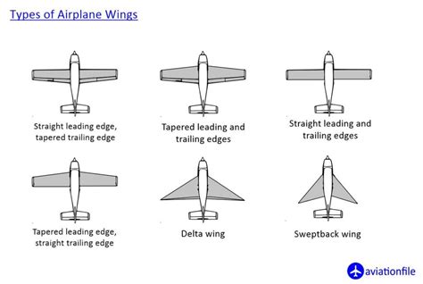 Types Of Glider Wings