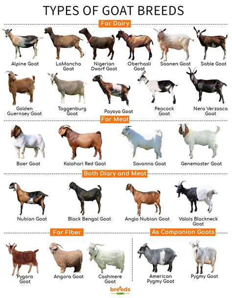 types of goats and their uses