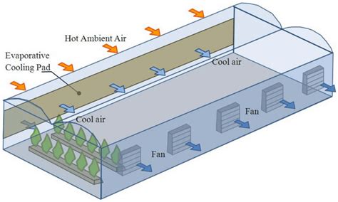Types Of Greenhouse Ventilation