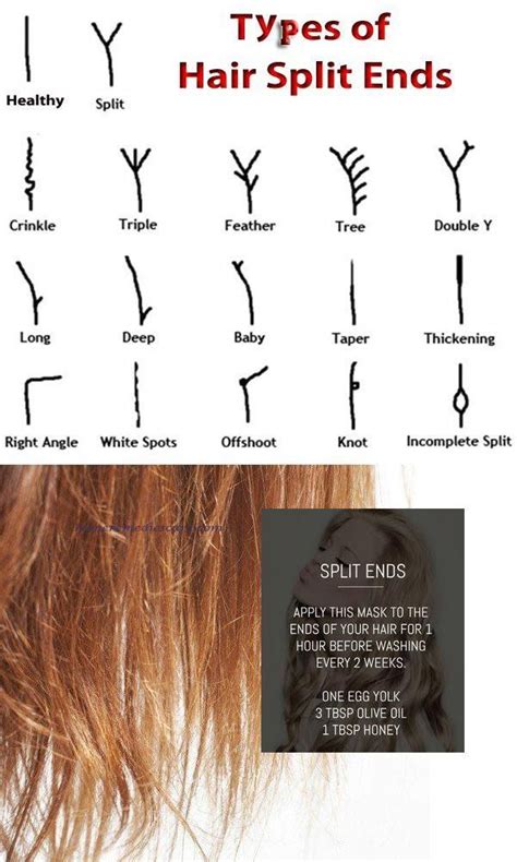  79 Popular Types Of Hair End Cuts For Bridesmaids