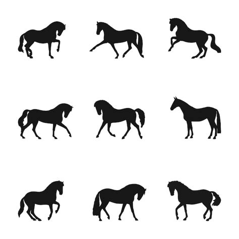 Types Of Horse Steps