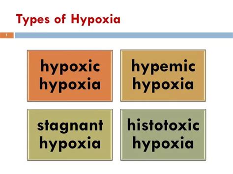 Types Of Hypoxia Anesthesia