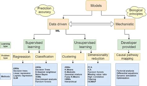 types of image classification models