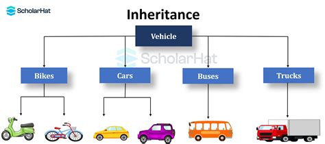 types of inheritance in c++ with example