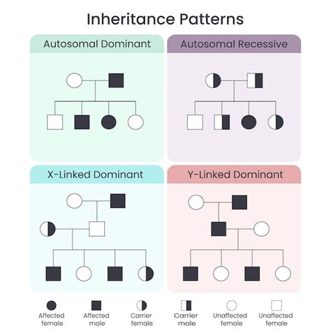 types of inheritance patterns ap bio