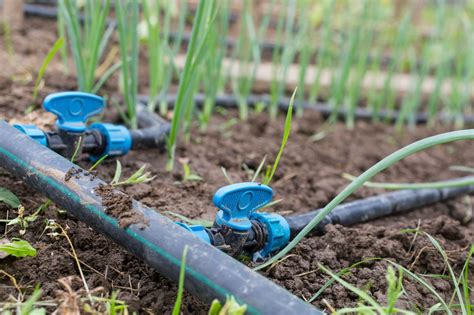 Types Of Irrigation Drip Lines