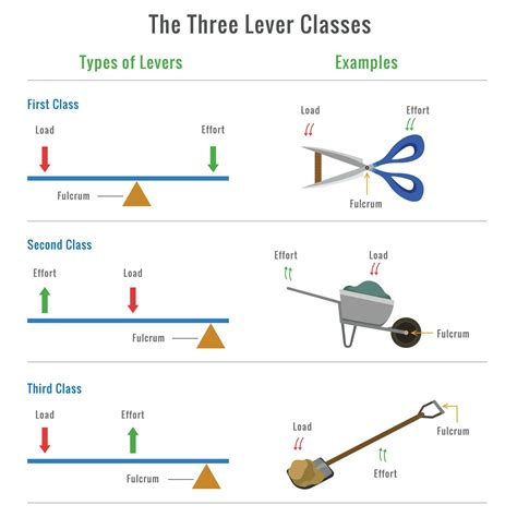 Types Of Levers Are There