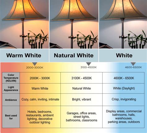 Types Of Lighting Color
