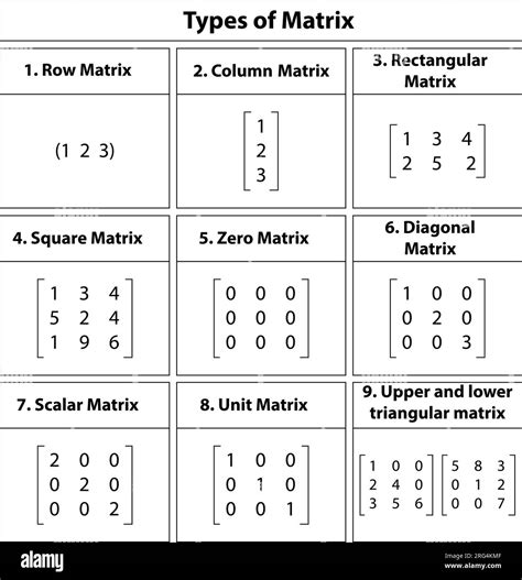 Types Of Matrix Examples Printable