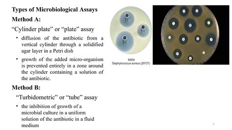 Types Of Microbiological Assays