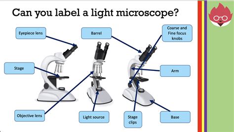 Types Of Microscope Bbc Bitesize