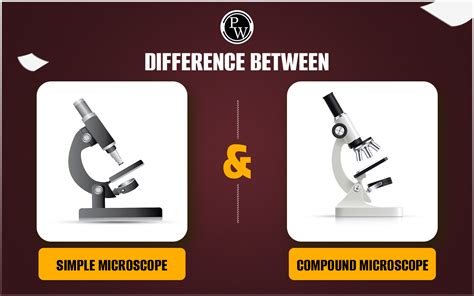 Types Of Microscope Simple And Compound